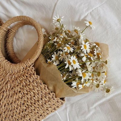 Lente