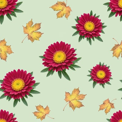 Peets Herbst-Aster