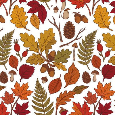 Meir Autumn — image 2 sur 8