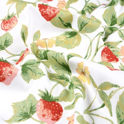 Fraise — image 2 sur 3