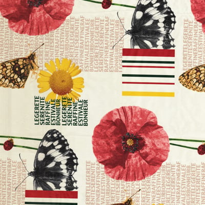 Papillon Bloom