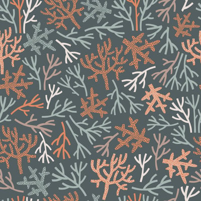 Corail — image 2 sur 3