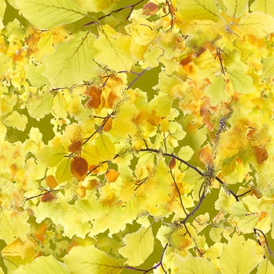 Dazzling leaves — afbeelding 2 van 3