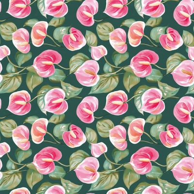 Anthurium — afbeelding 2 van 3