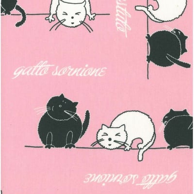 Kitty Rosa GTL — Bild 2 von 5