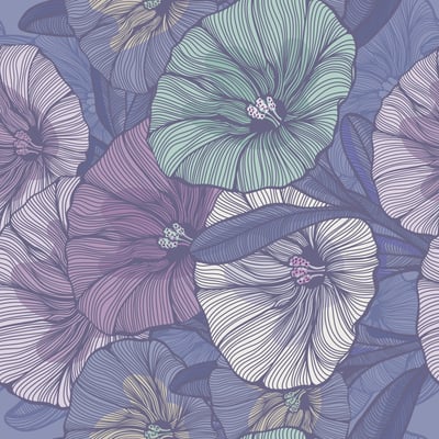 Bindweed — afbeelding 3 van 3