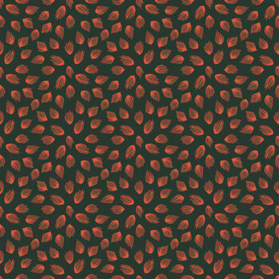Rooty coral — afbeelding 3 van 3