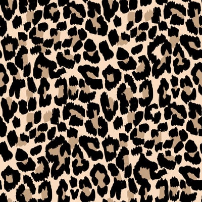 Leopard — afbeelding 2 van 3