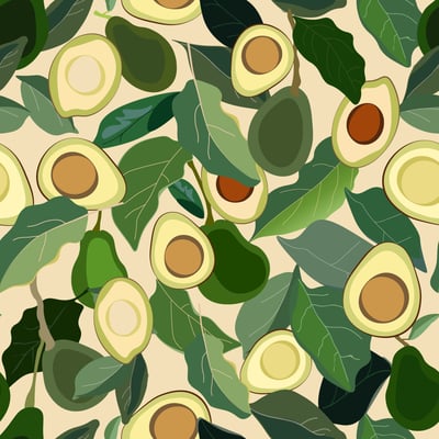 Avocado — afbeelding 3 van 3