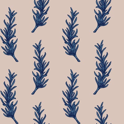 Rosemary — afbeelding 2 van 3