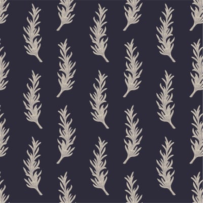 Rosemary — afbeelding 2 van 4