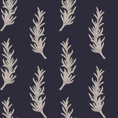 Rosemary — afbeelding 4 van 4