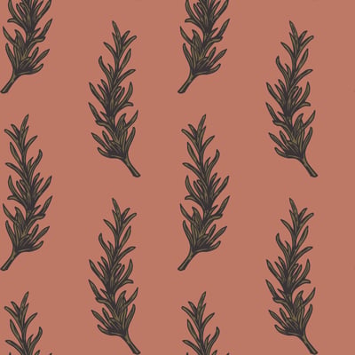 Rosemary — afbeelding 2 van 3