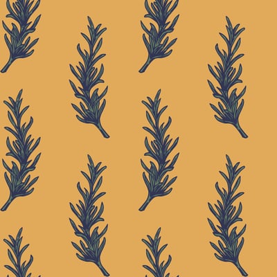 Rosemary — afbeelding 2 van 3