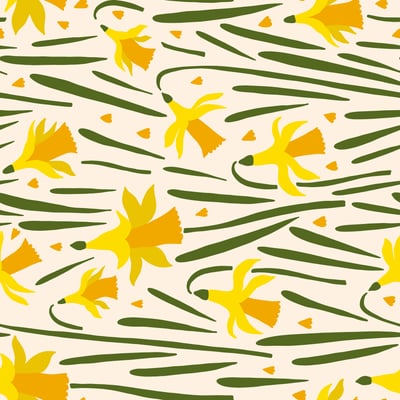 Narcis — afbeelding 2 van 3