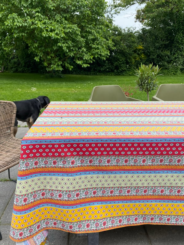 Streep faye — afbeelding 1 van 1