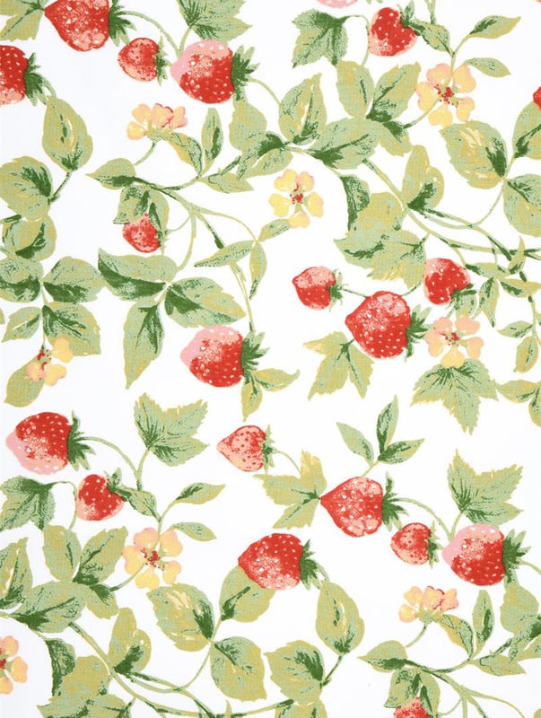 Fraise — image 1 sur 3